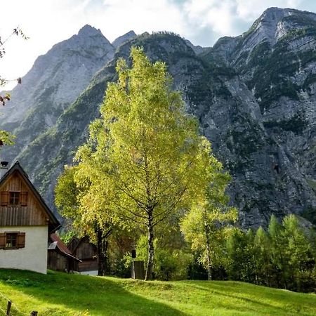 Cottages Kravanja 特伦塔 外观 照片