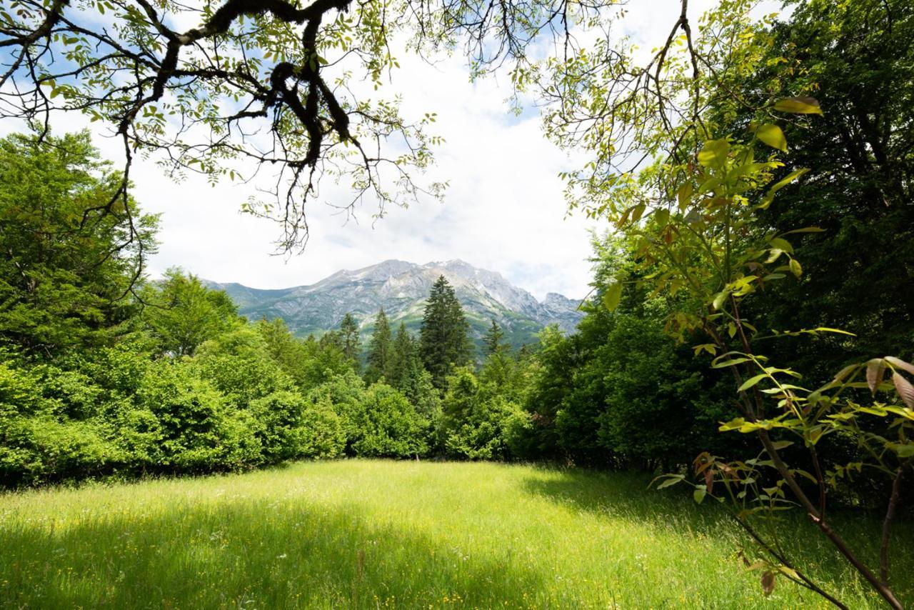 Cottages Kravanja 特伦塔 外观 照片
