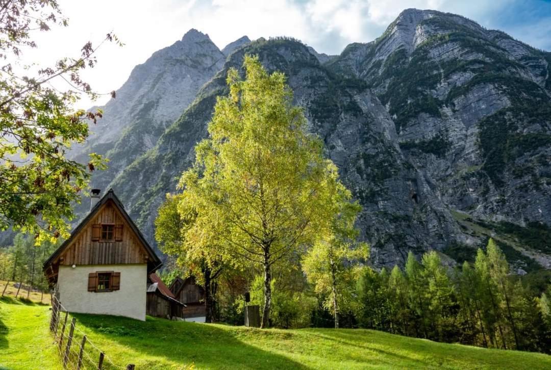 Cottages Kravanja 特伦塔 外观 照片